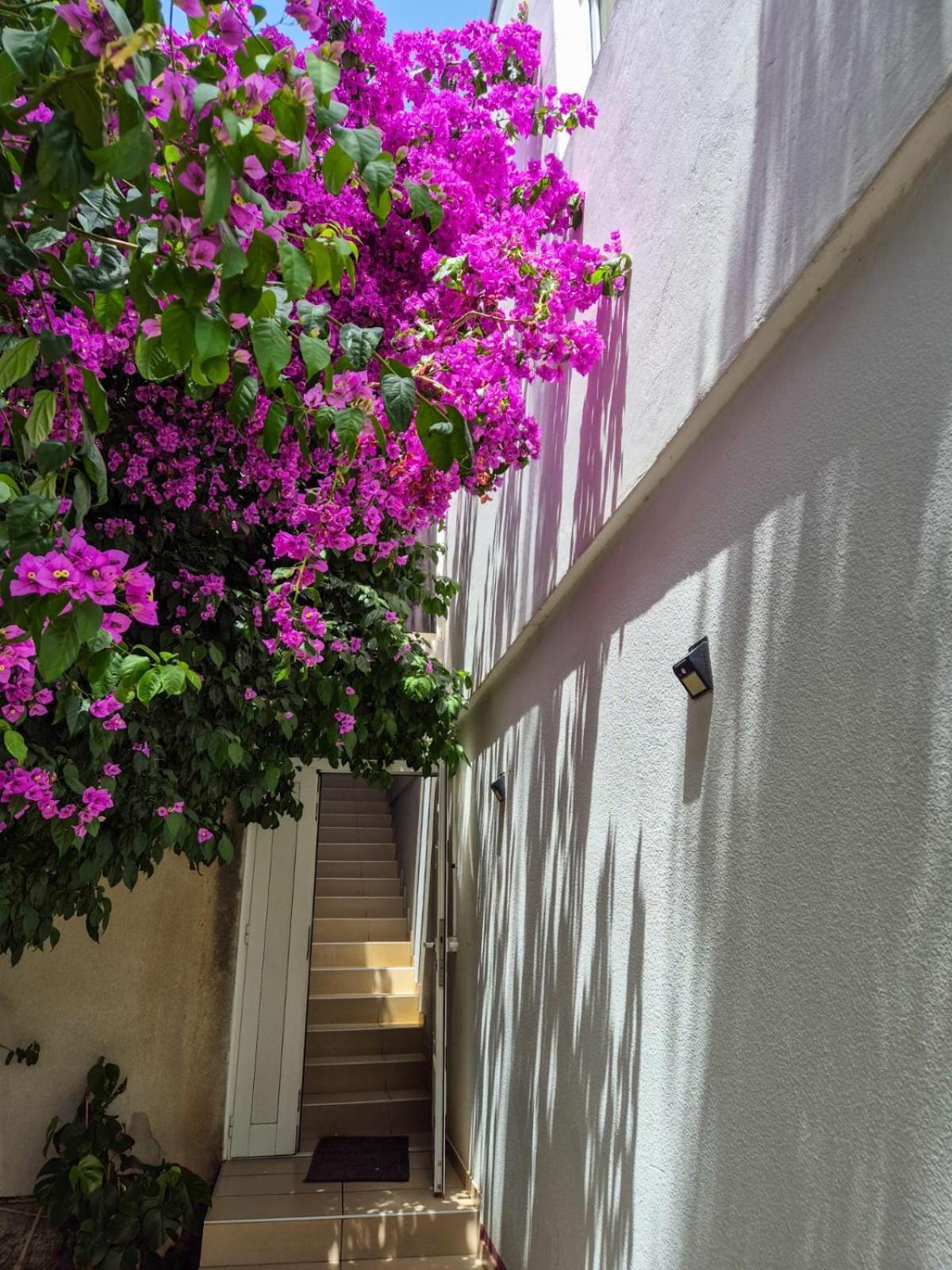 Apartments And Pansion M&R توراني المظهر الخارجي الصورة